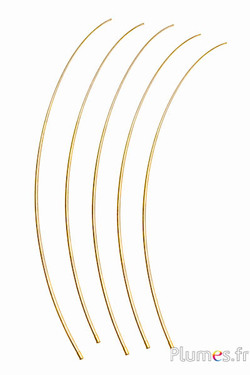 Strauss Kiel - 50-60 cm - gold